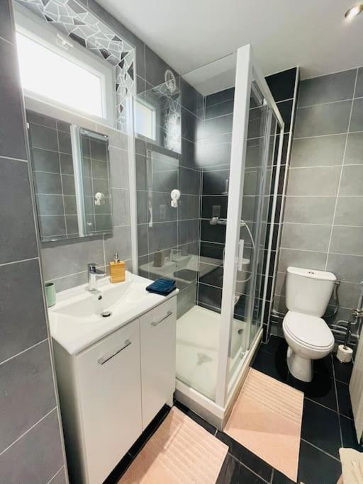 דירות Studio Cosy Et Lumineux De 35M2 A Romagnat מראה חיצוני תמונה